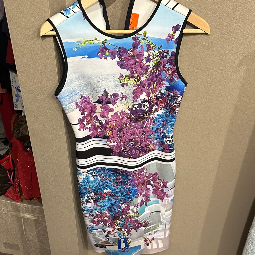 Clover Canyon Purple and Blue Floral Mini Dress